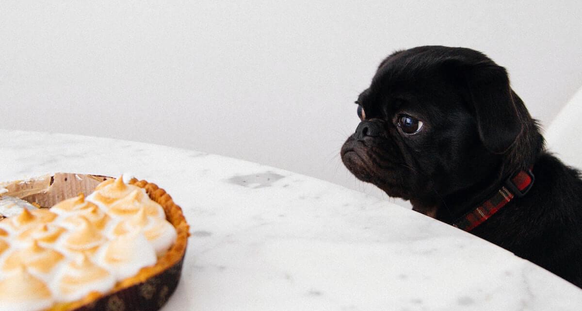 Guia Condensada para Escribir Copys