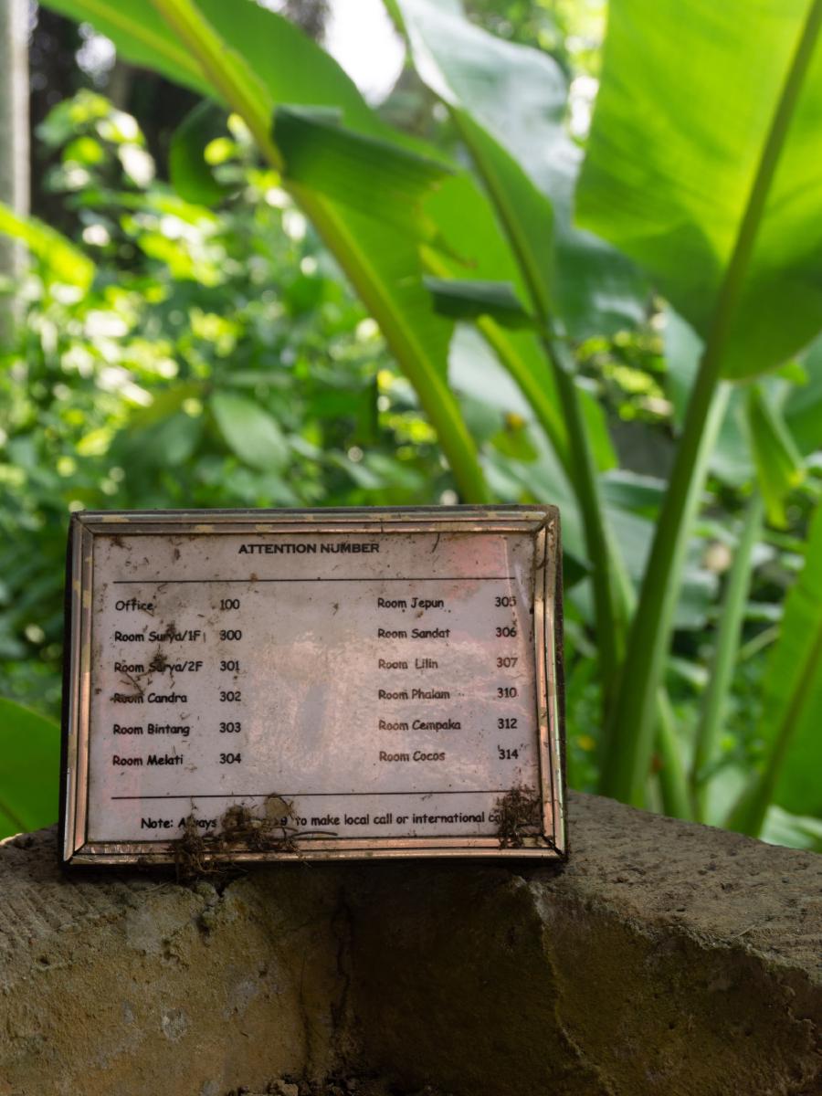 Ruins of an abandoned villa in Ubud Ruins of an abandoned villa in Ubud