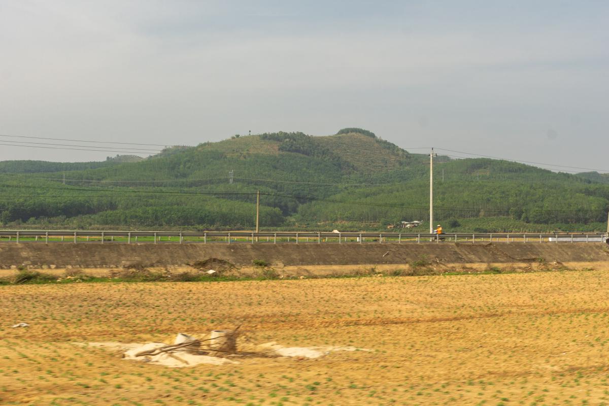 Masters of Their Kingdom