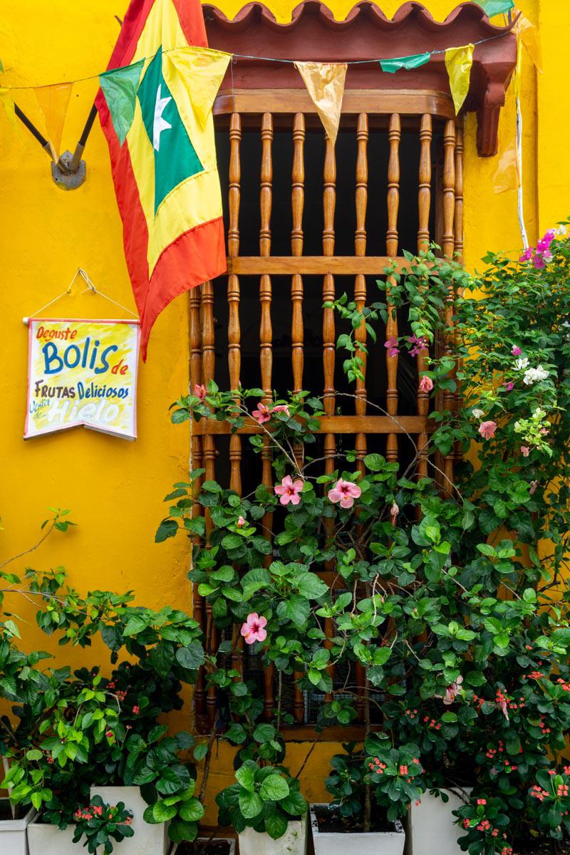 bolis-1.jpg bolis-1.jpg