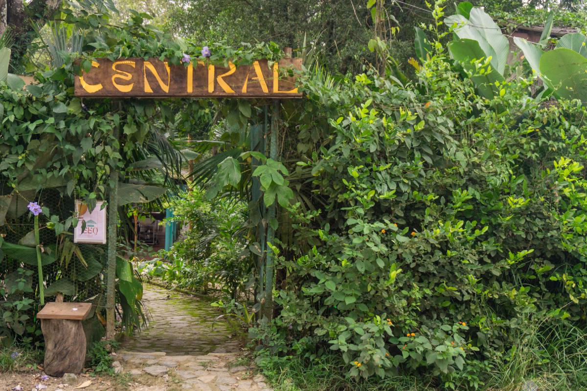 Bushy entrance to Central Restaurant Bushy entrance to Central Restaurant
