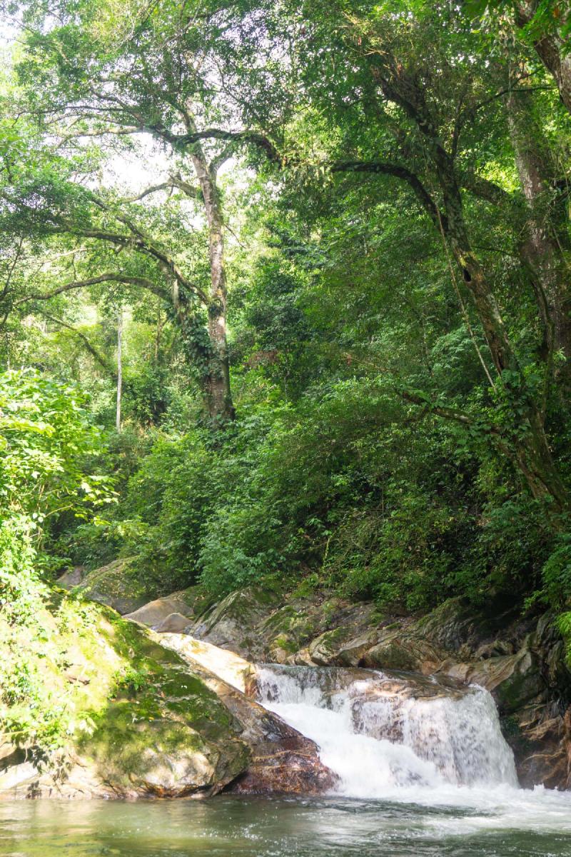 Natural pool and waterfall of Pozo Azul, below tall green trees Natural pool and waterfall of Pozo Azul, below tall green trees