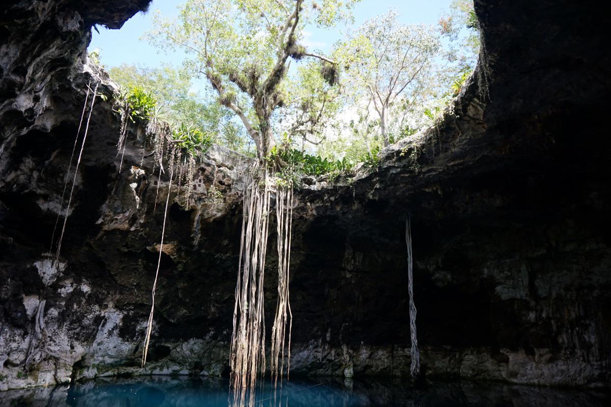 One of the three beautiful cenotes of Santa Barbara.