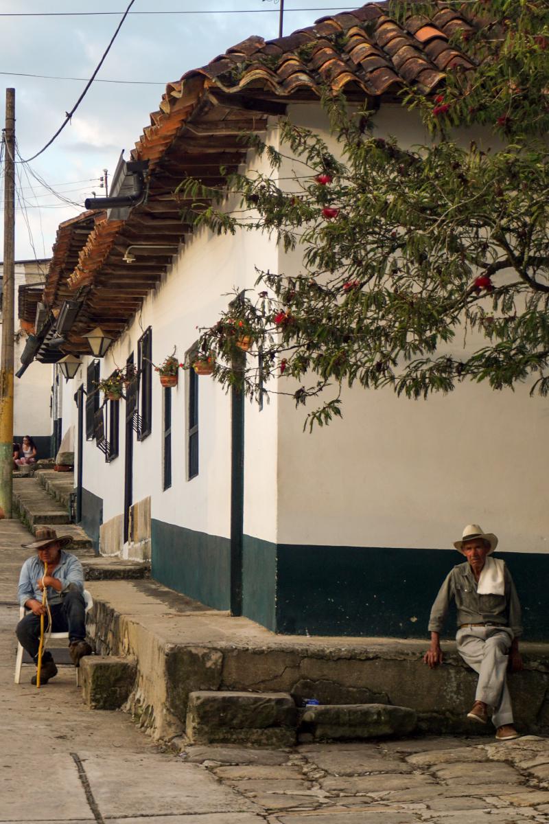Two townspeople sitting in a corner store, one of them below the branch of a tree Two townspeople sitting in a corner store, one of them below the branch of a tree