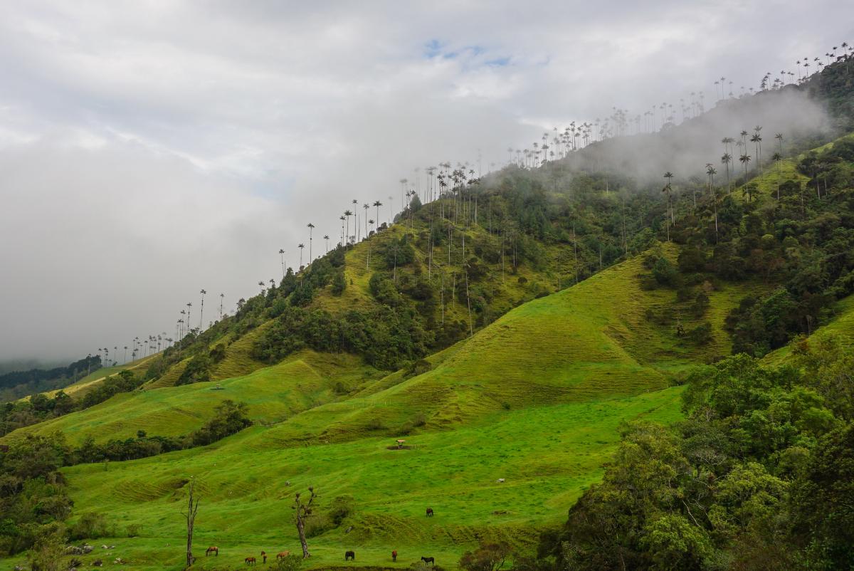 Visiting Salento, Colombia – Things To Do & Places to Eat