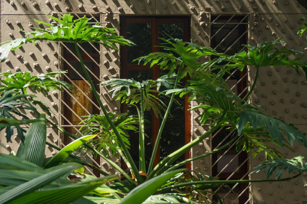 Jazz, Brisa y Lluvia en el Centro de Medellín