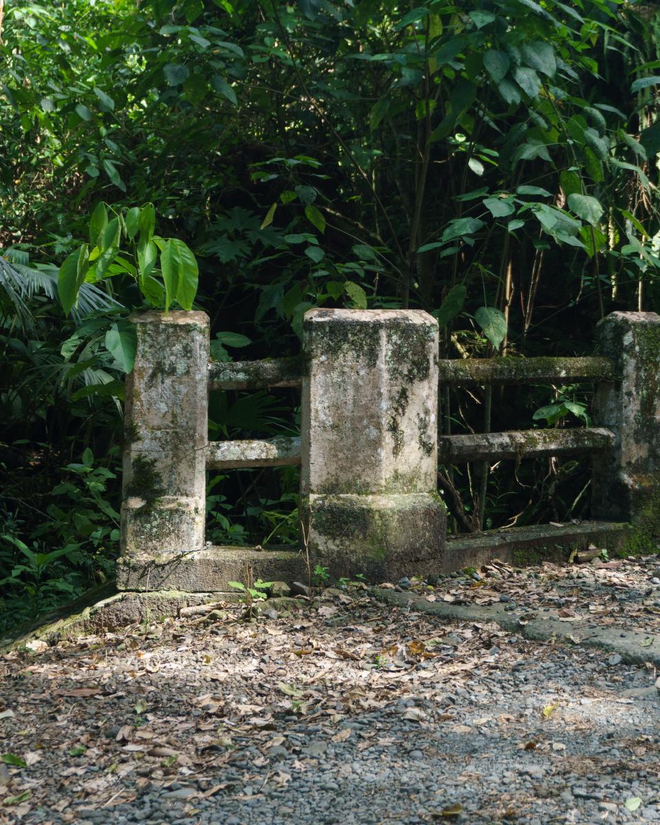 Viejo puente en el camino de trocha