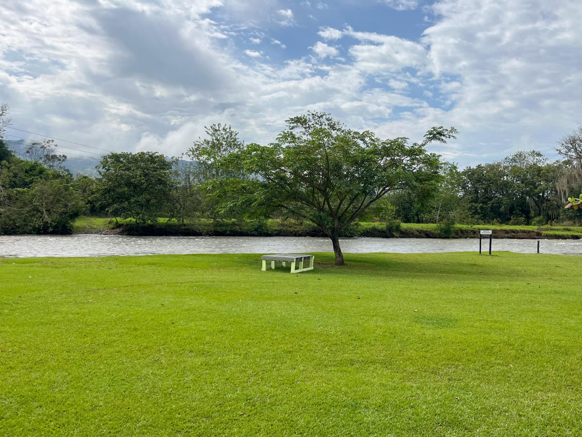 Cruzando Suramérica: 3 — Viterbo a Lago Calima