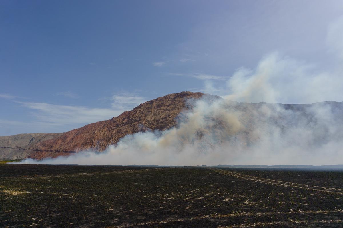 Cruzando Suramérica: 24 — Nazca a Camaná