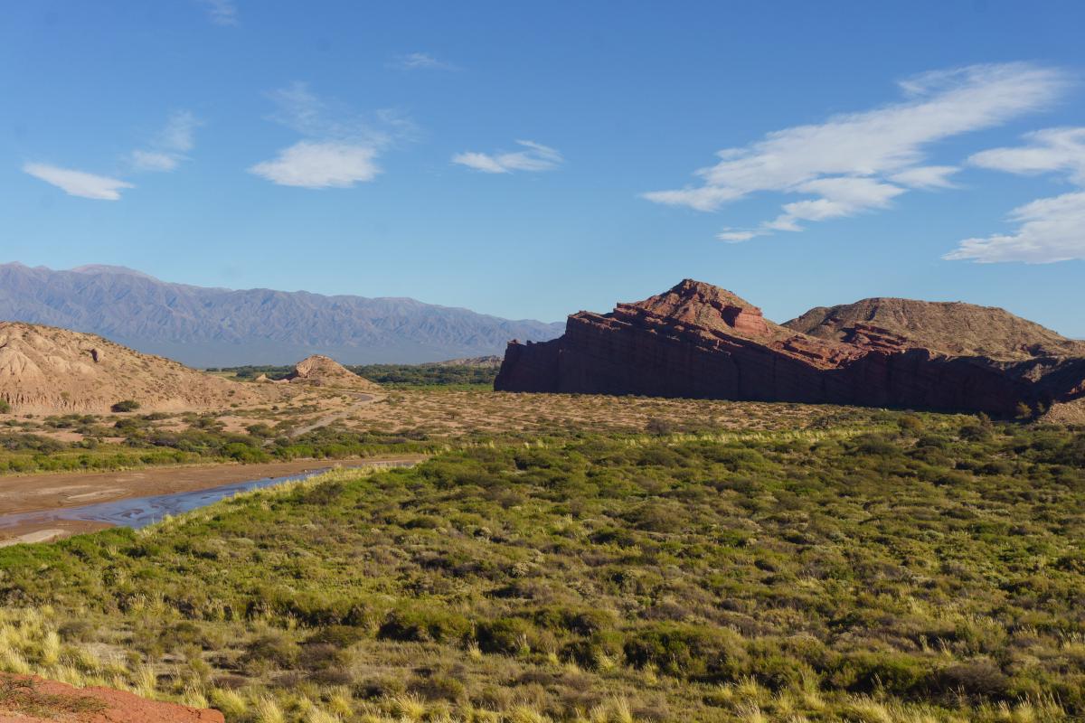 Cruzando Suramérica: 49 — Cafayate a La Viña