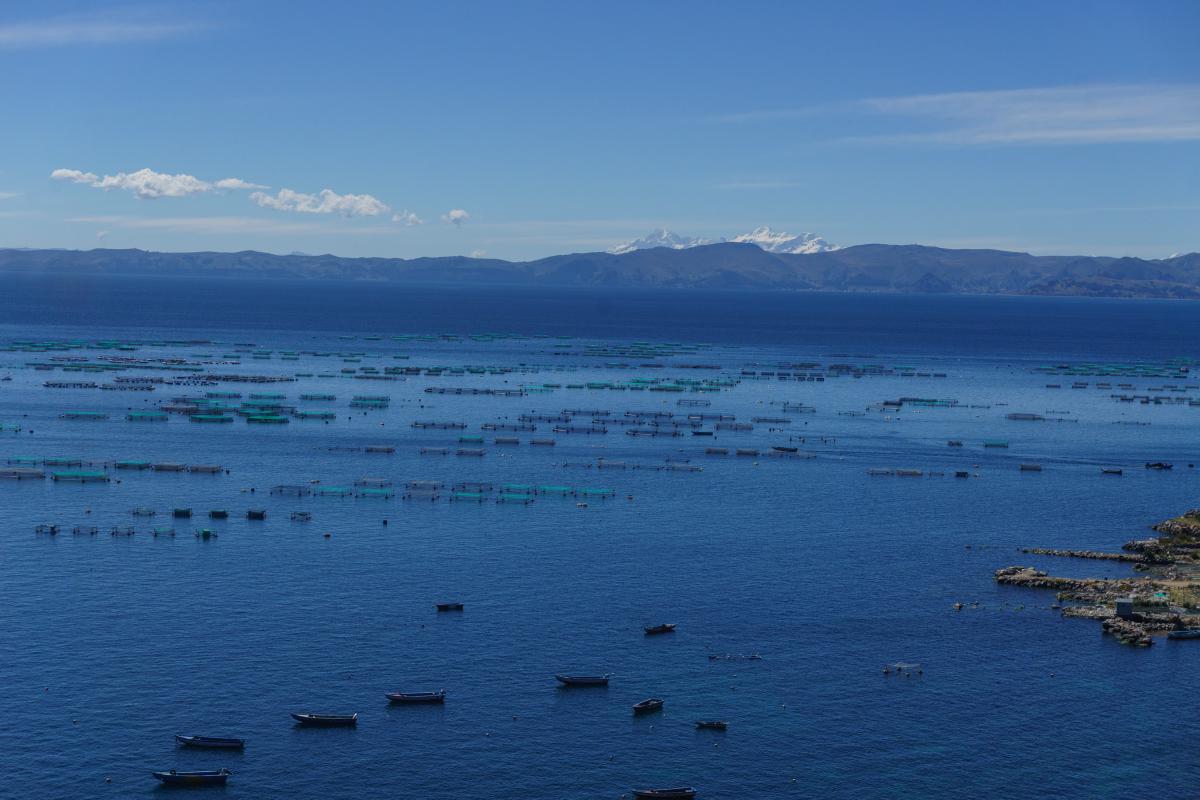 Cruzando Suramérica: 64 — Copacabana a Puno