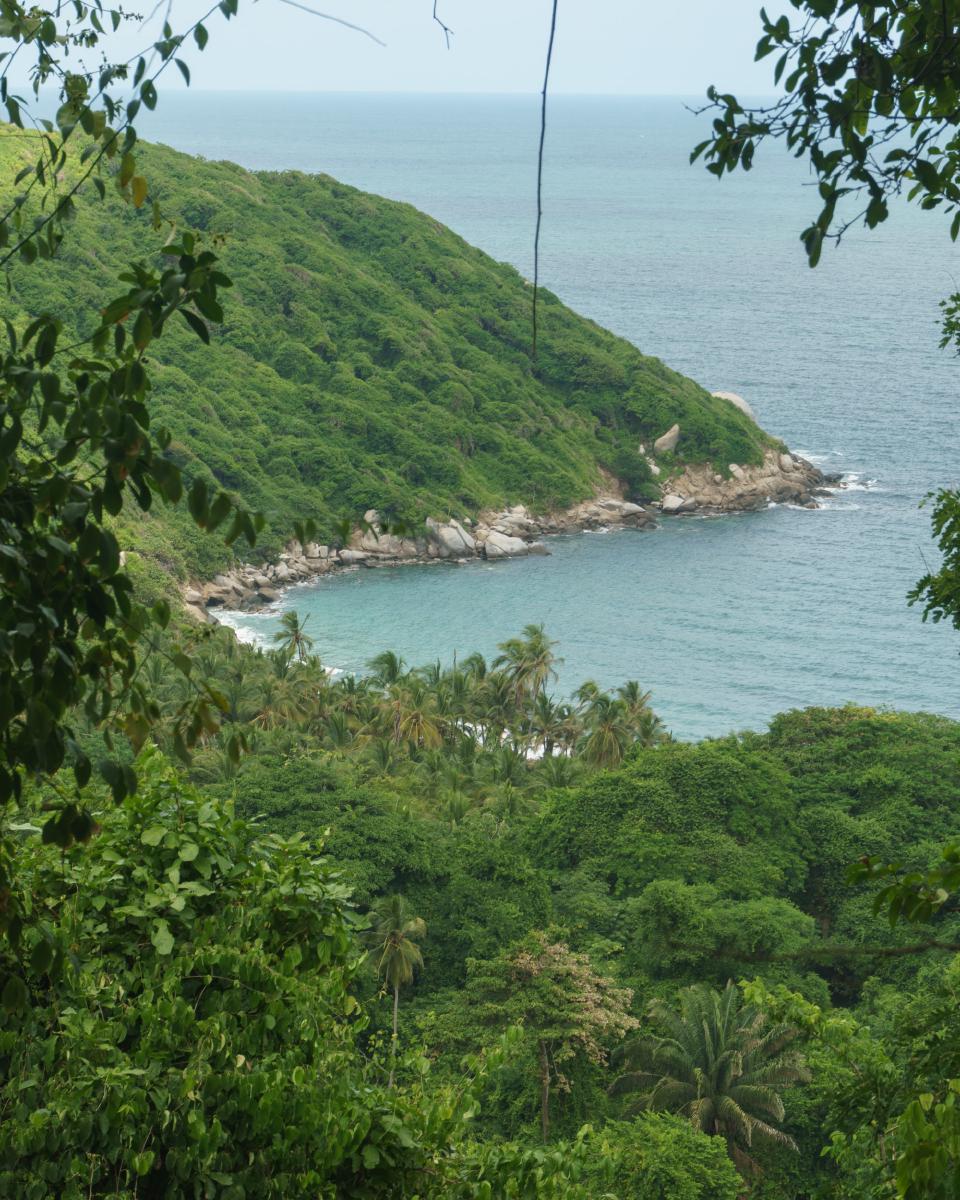Vista panorámica del mar Caribe y la costa desde el sendero Calabazo en Tayrona