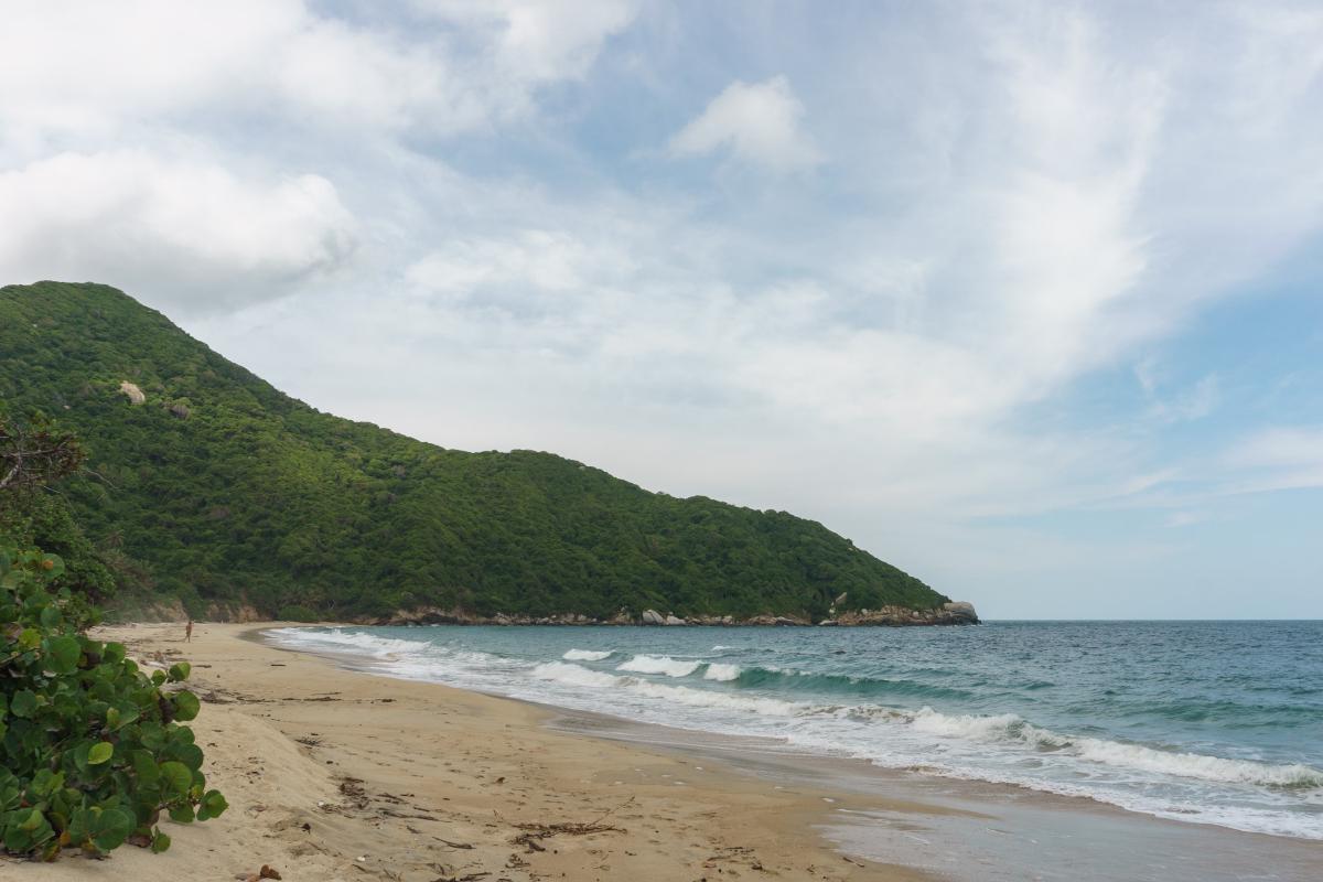 Playa Nudista en el Parque Tayrona con arena blanca, palmeras y montañas al fondo
